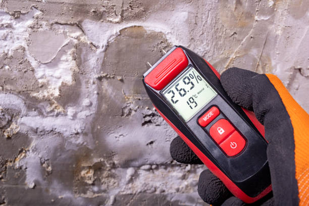 Best Mold Remediation  in Glendale Heights, IL